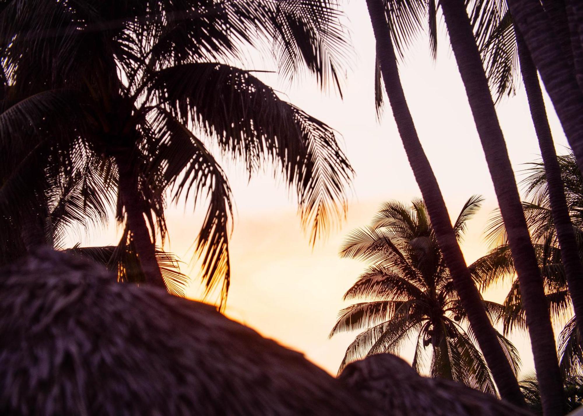 Almare Zonte - Beachfront Glamping Hotel El Zonte Esterno foto